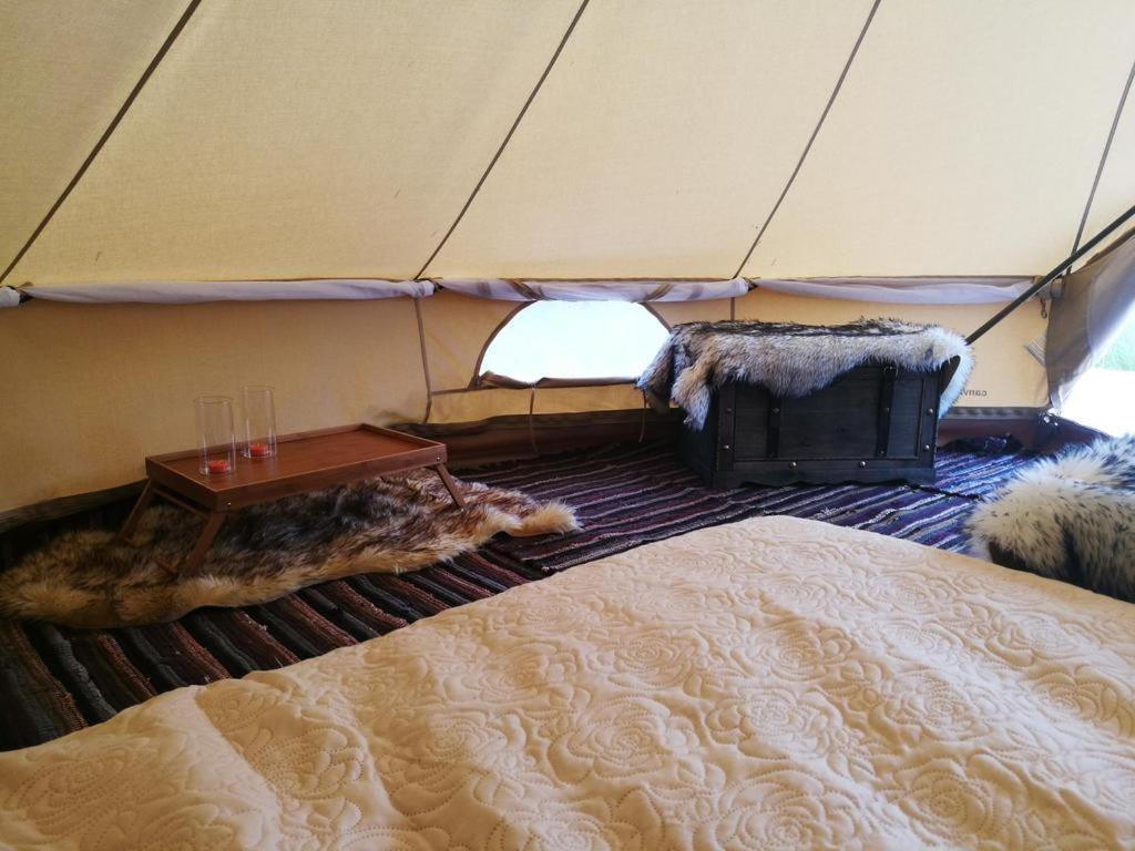 Sokka Holiday Center & Glamping Otepää エクステリア 写真